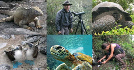 Inserat Freunde der Galapagos