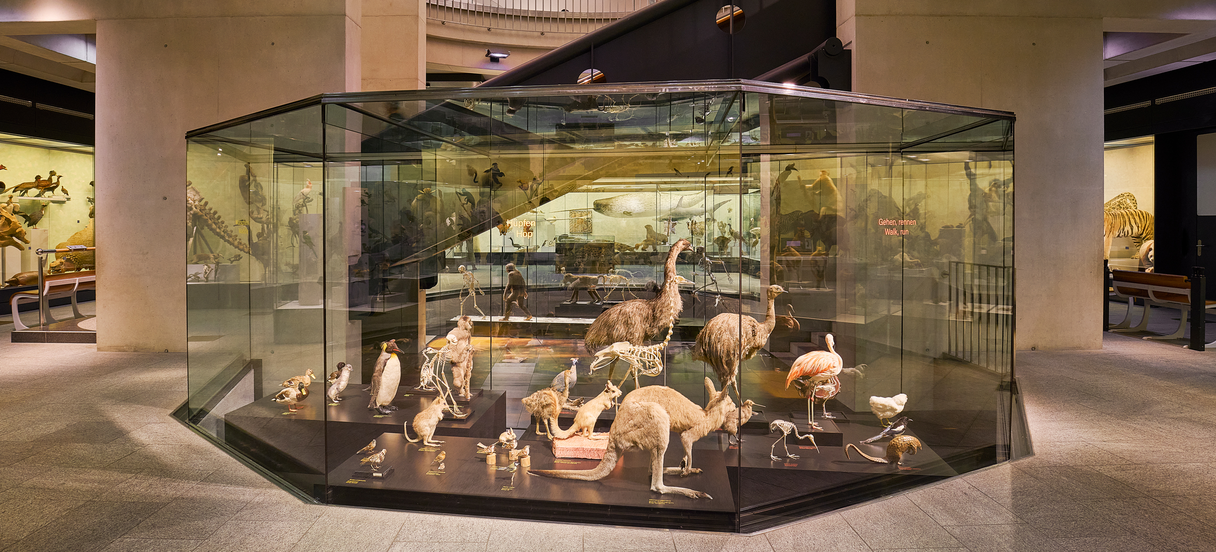 Aktuelle Sonntagsführung