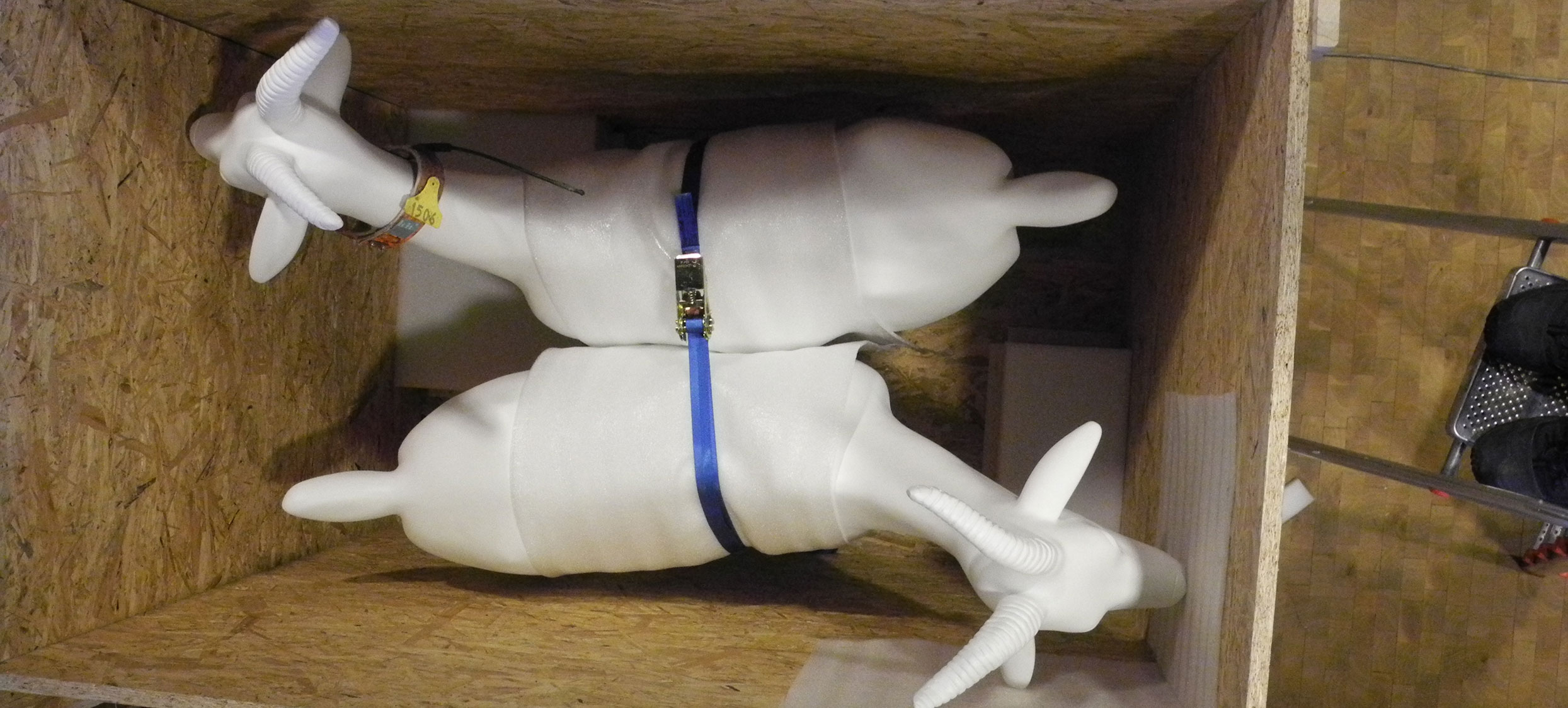 2017 – Galapagos – Reisen 02