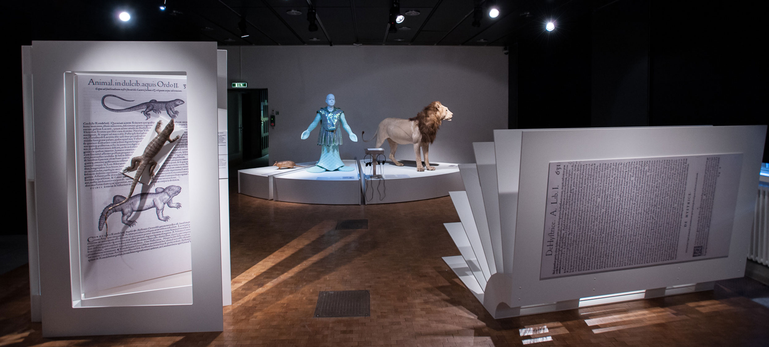 Gessner Ausstellung 10