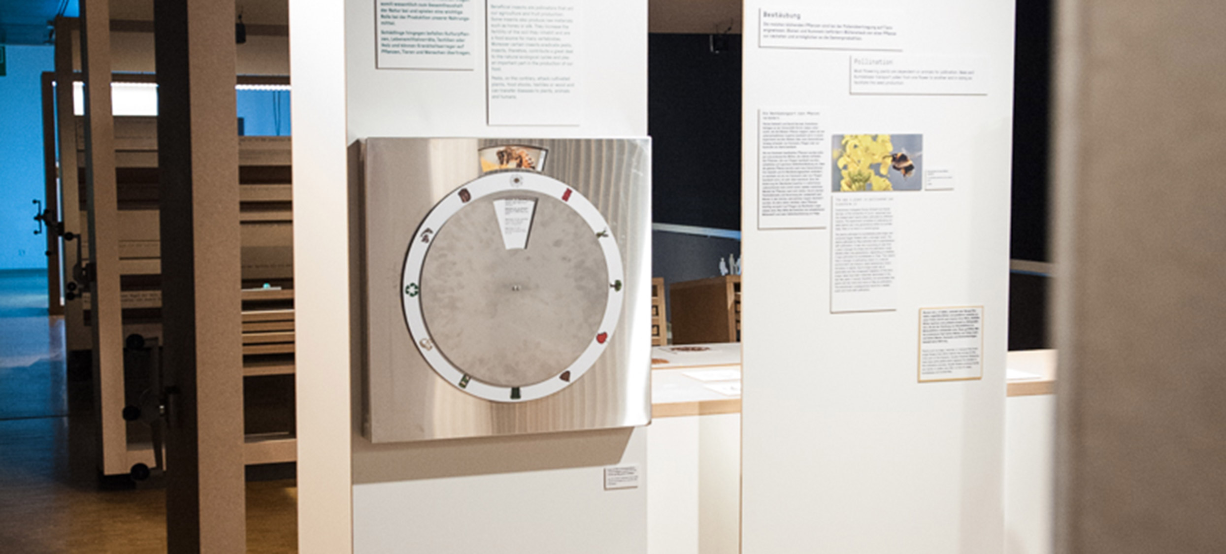 2018 – Insekten 04