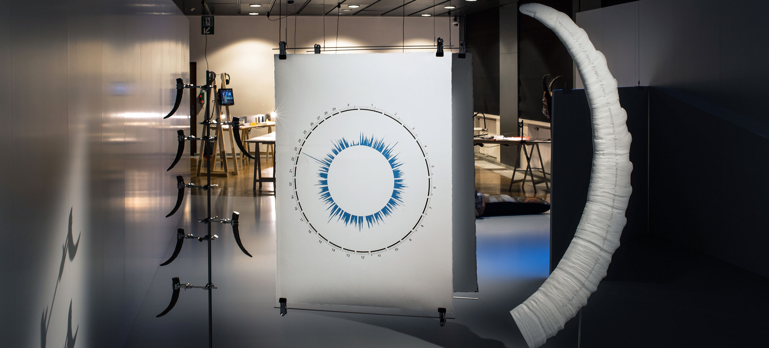 2017 – Entführungen 03