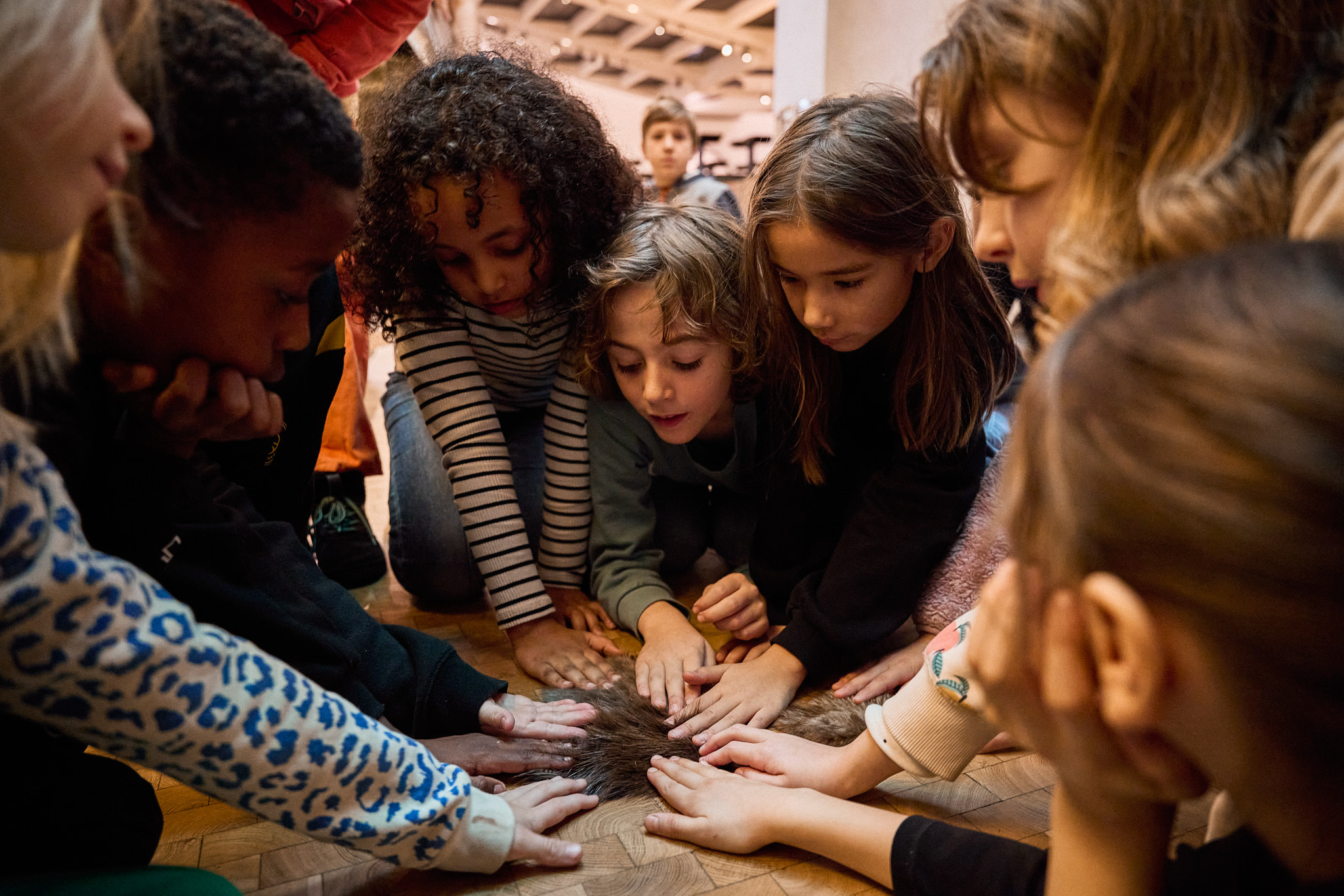 Vermittlungsangebote_NMZ_2024