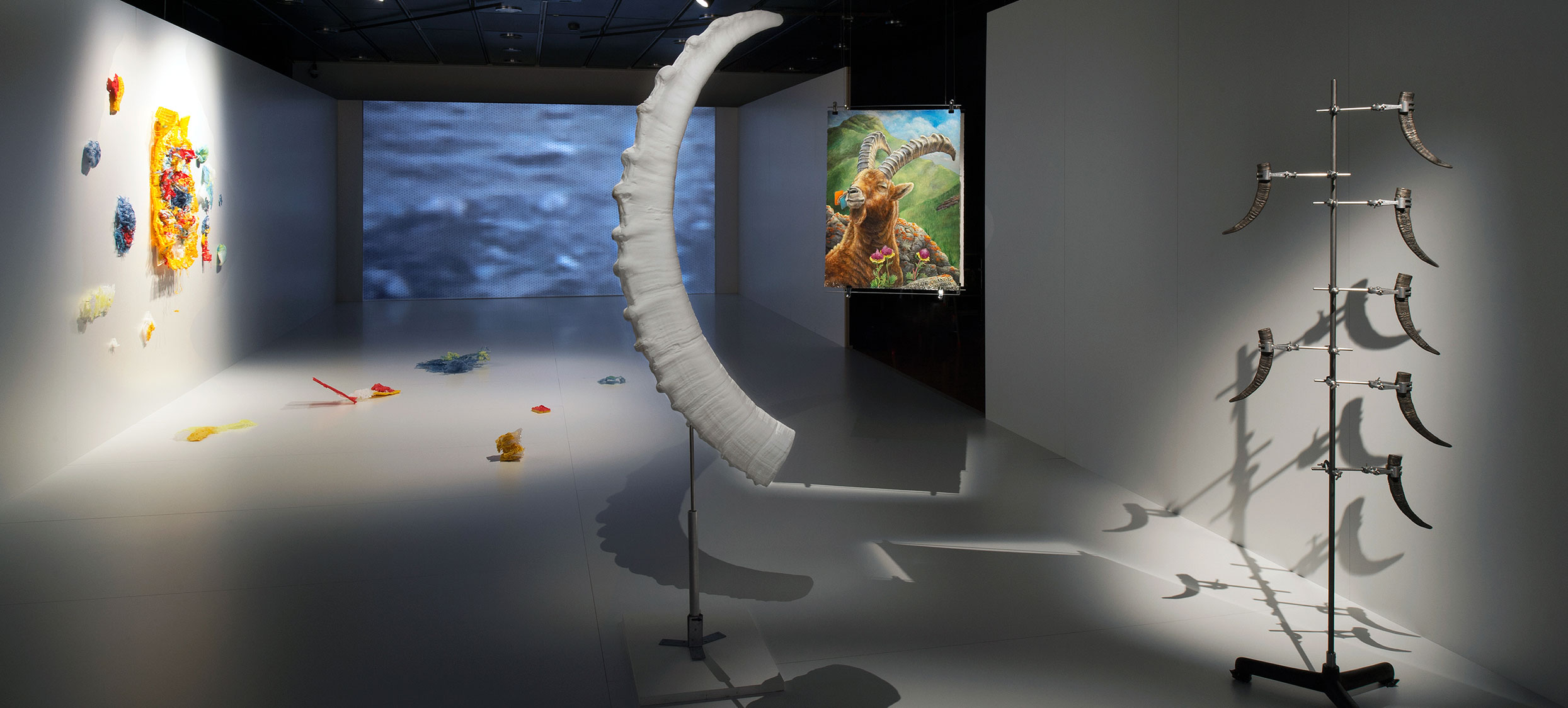 2017 – Entführungen 01