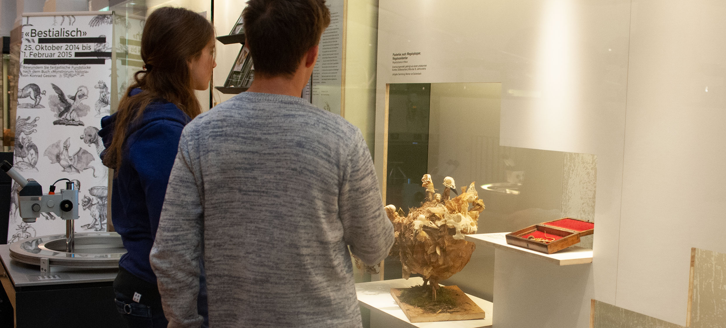 Bestialisch Vitrine d