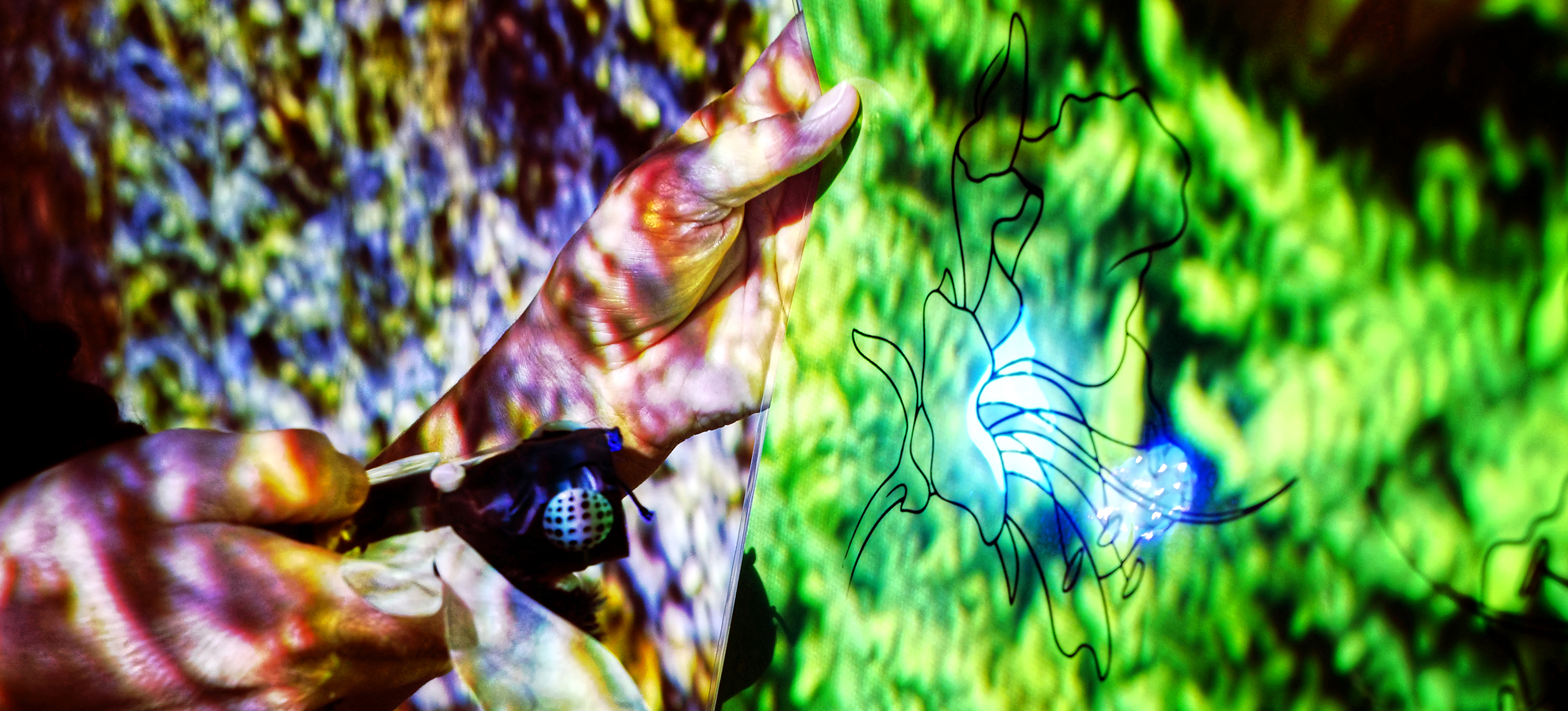 Führung Botanik Lanpe Bienen Blüte