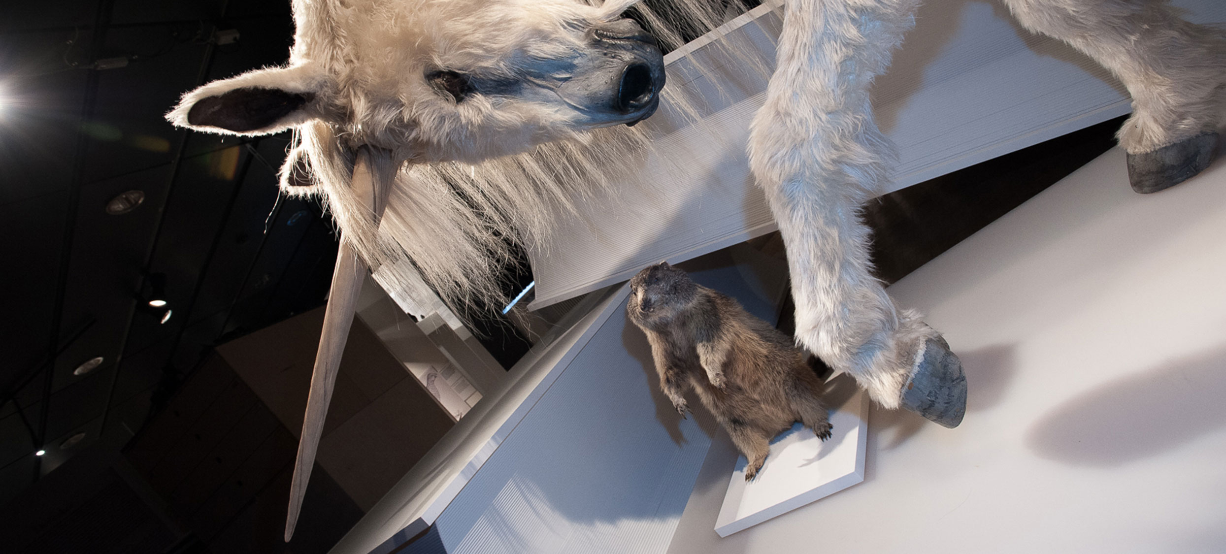 Gessner Ausstellung 09