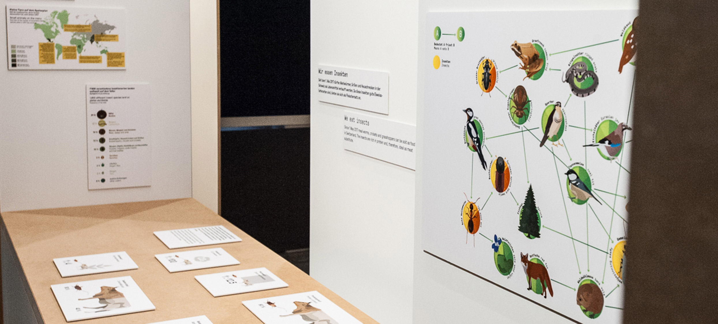 2018 – Insekten 10