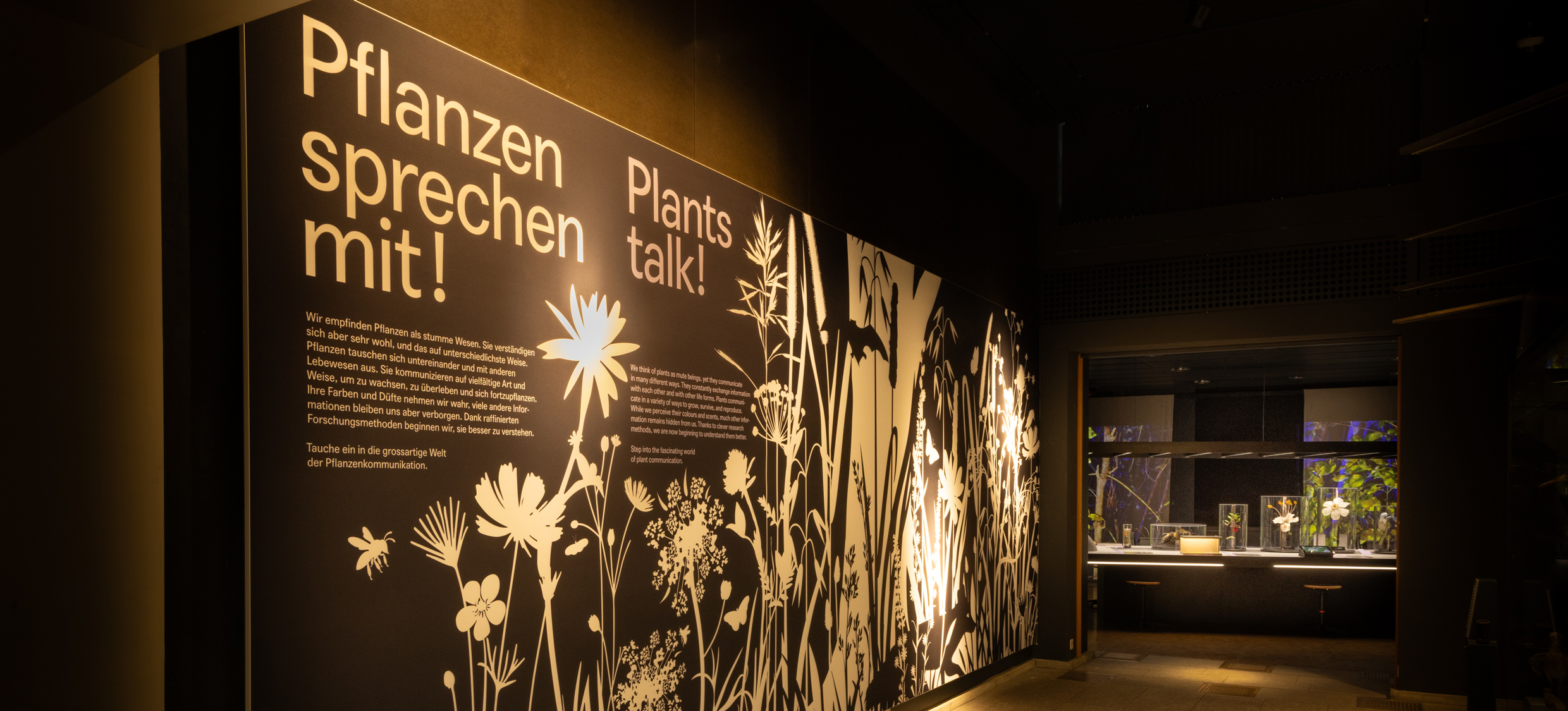 Einstiegbild mit verschiedenen Pflanzen und Blumen