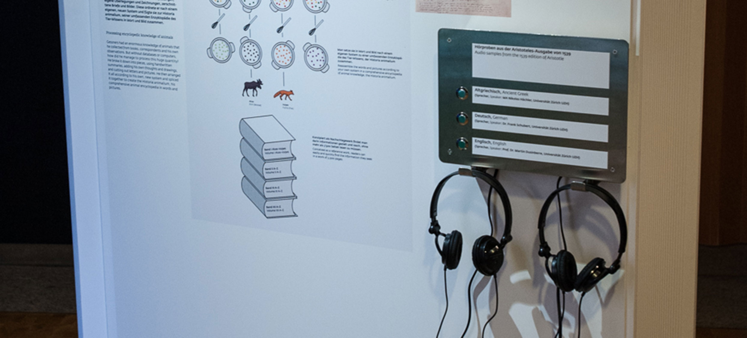 Gessner Ausstellung 12