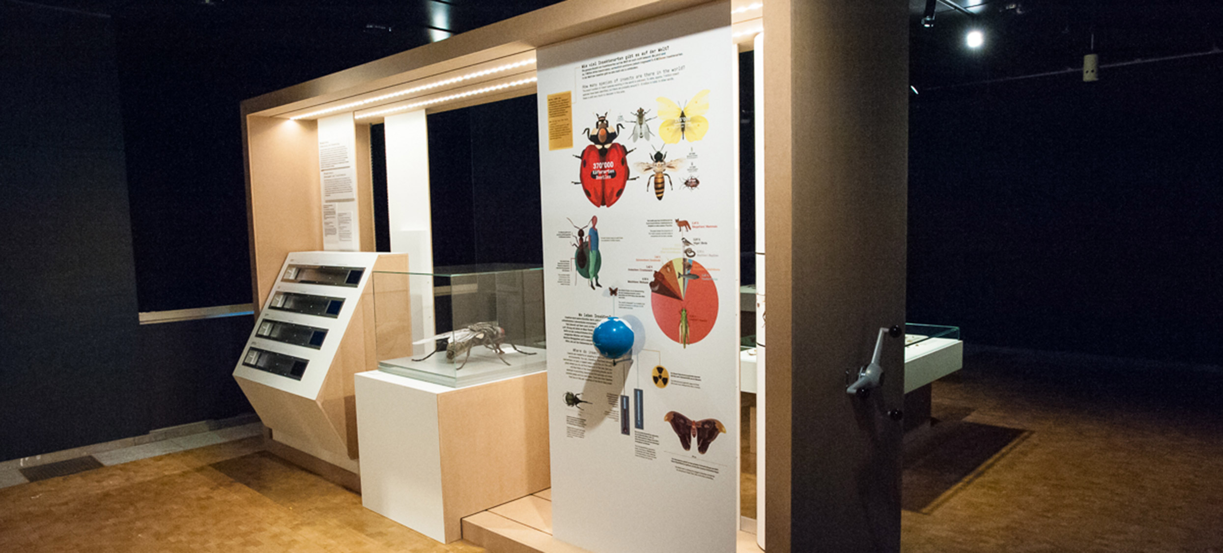 2018 – Insekten 07