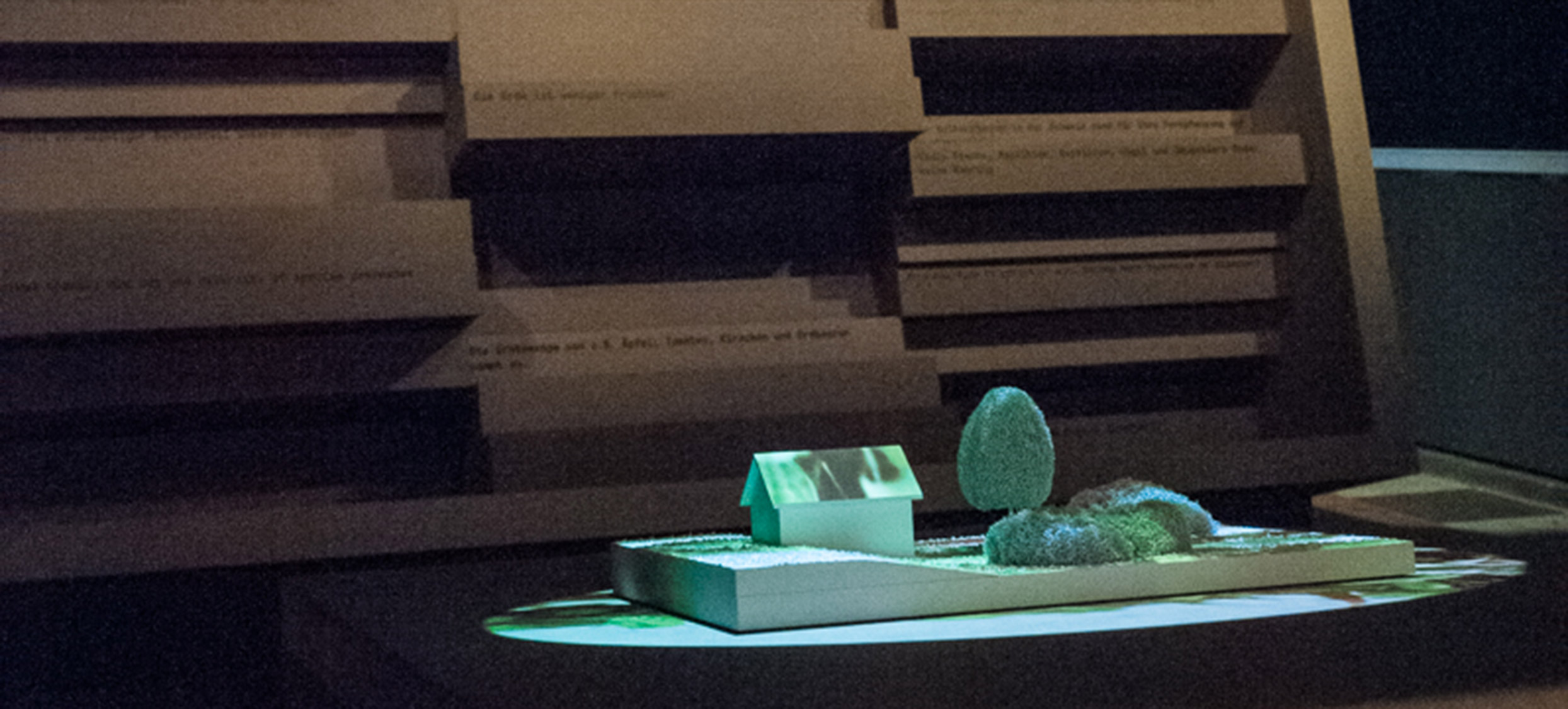 2018 – Insekten 09