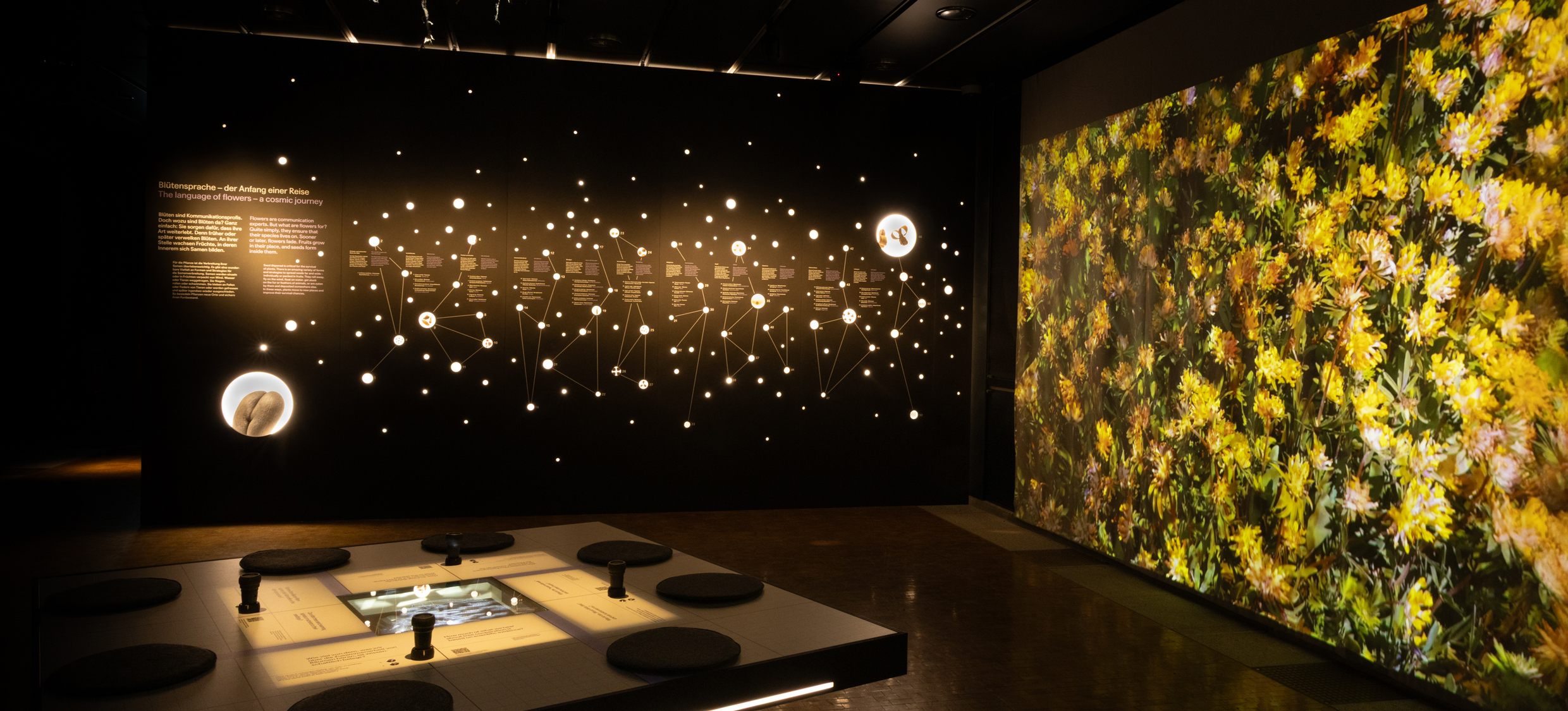 Eine Wand wie der Kosmos – Gucklöcher mit Samen