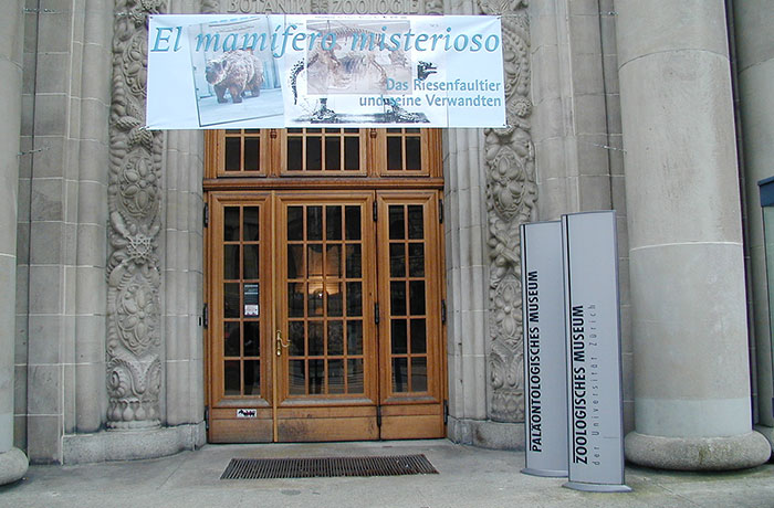 Sonderausstellung Riesenfaultier Sonderausstellung Riesenfaultier